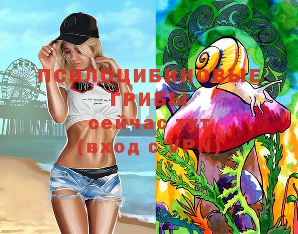 винт Аркадак