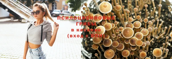 спиды Арсеньев