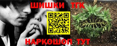 гидропоника Канаш