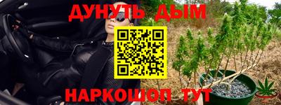 шишки Бузулук