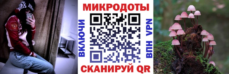 Галлюциногенные грибы мухоморы  Ленинск-Кузнецкий 