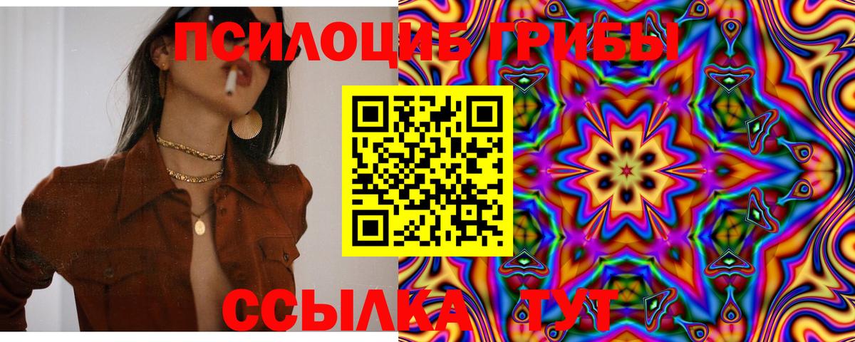 Галлюциногенные грибы мицелий Ленинск-Кузнецкий